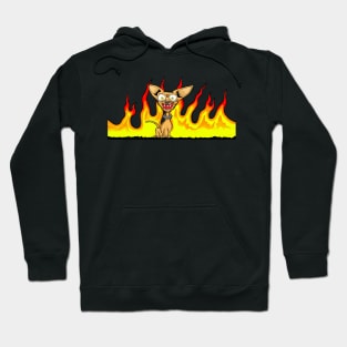 Crazy Chihuahua Hoodie